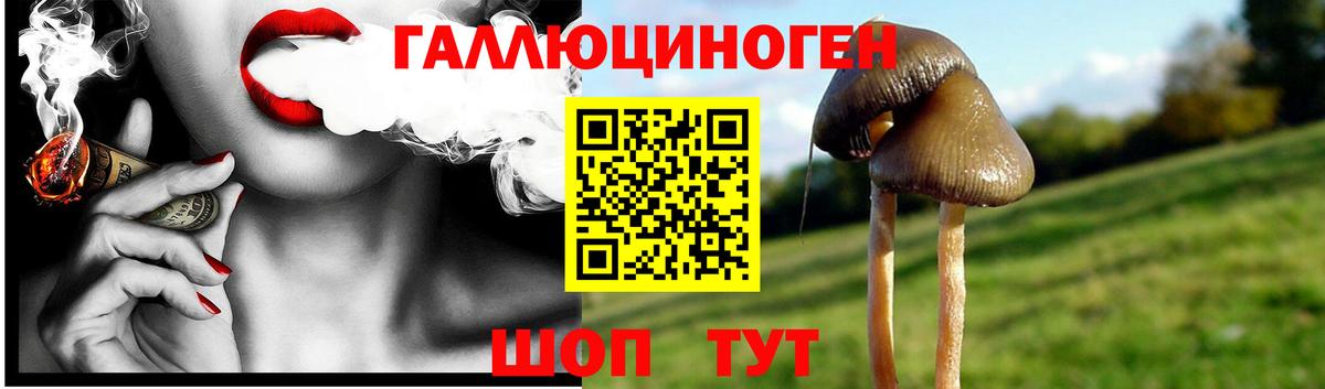 Сергиев Посад  Галлюциногенные грибы Cubensis  Вход с VPN  Псилоцибиновые грибы мицелий 